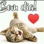 Santos