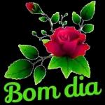 bom dia 0915