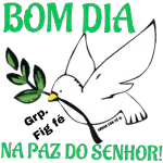 Boa tarde 🌹