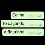 Meus figurinhas