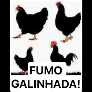 F4yXQk