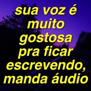 sua voz é muito gostosa pra ficar escrevendo, manda áudio - getsticker.com