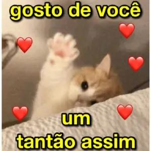 gosto de você um tanto assim - getsticker.com