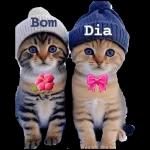 coisa fofa