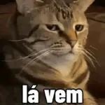 memes