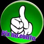 faz um pix