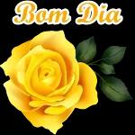 bom dia