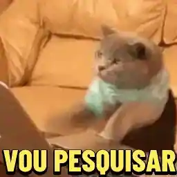 aplausos👏