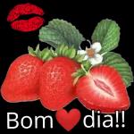 bom dia