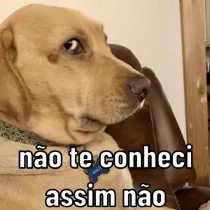 não te conheci assim não - getsticker.com