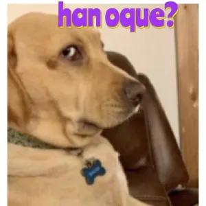 YQzmdq