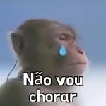 Macaco🐒🥭