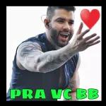 Gostei!