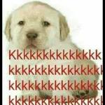  Bom Dia!