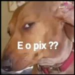 E o pix ??