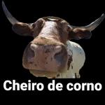 Diego 
