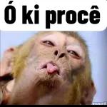 SÓ 1 MINUTO TÔ PROCURANDO baroportira UMA FIGURINHA