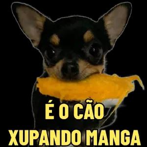 rpvARw