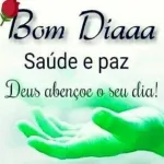 adesivo