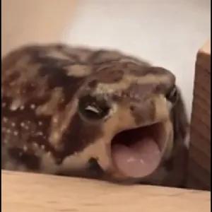 RY9pBS