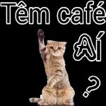 Tem cafe？？