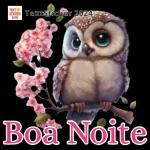 Ad eu tiro
meo
chapéu
