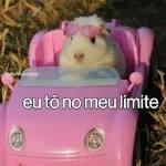faz meu pix