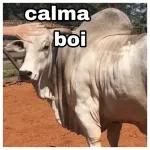 boi