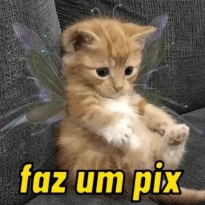 iQdfef