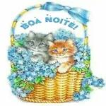 BOM
DIA