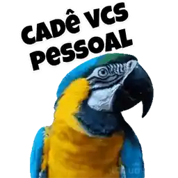 feliz aniversário 🥳🎂