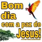 A paz do Senhor!