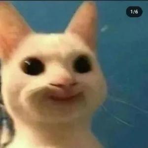 OtygDS