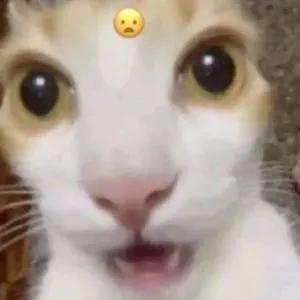 WbZHSi