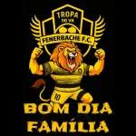 Sem você