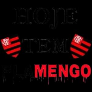 HOJE TEM FLAMENGO CHE - getsticker.com