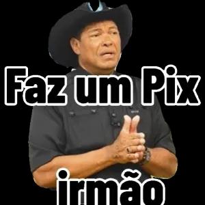 Faz um Pix irmão - getsticker.com