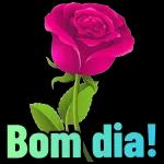 Bom dia 