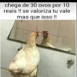  Eita que
saudade
de tu!