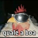 só animais 😂