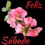 feliz sábado 
