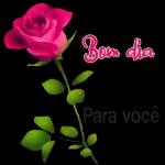  Bom dia❤️