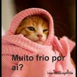 tá frio né