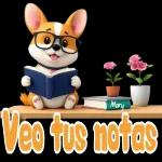 No hay varo
