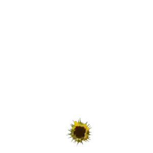 iBQBM2
