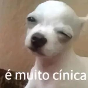 PHbjrr