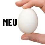 Santo e abençoado dia, sob a proteção de Maria!