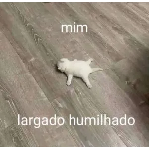 XTYEDz