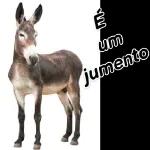 sexo