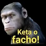 carolll